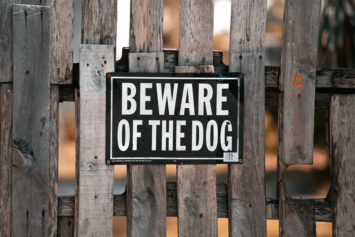 How to Start a Neighborhood Watch Group in Your Borough